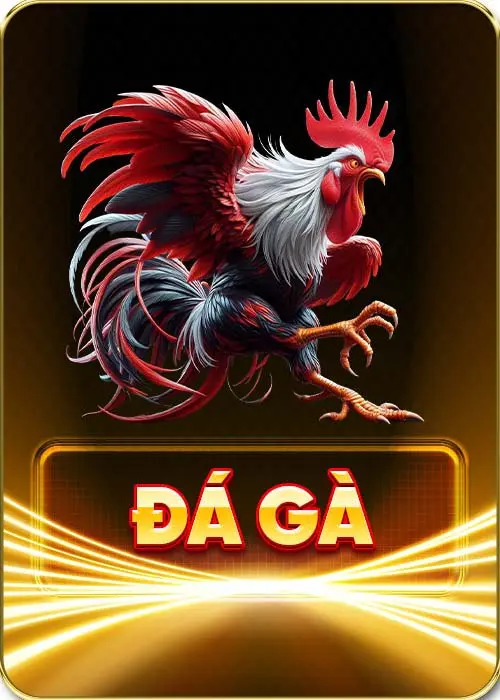 đá gà rikvip